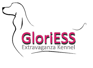 Gloriess Extravaganza Kennel